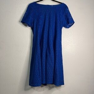 NY Collection Vibrant Cobalt Blue Lace Short-Sleeved Dress. Sz PM.
